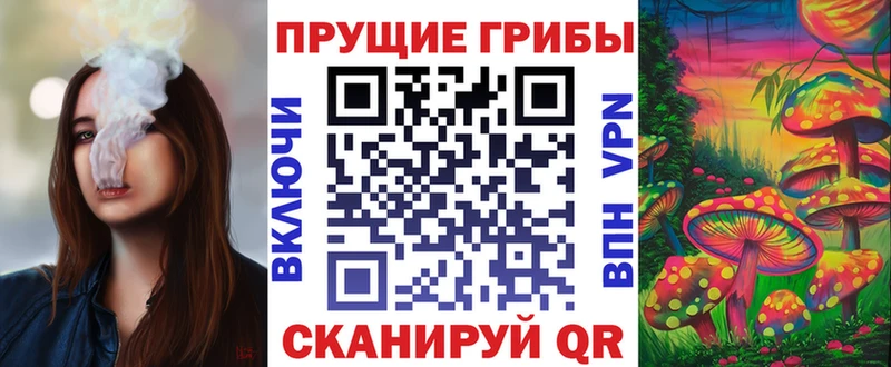 Галлюциногенные грибы мицелий  Гулькевичи 